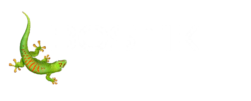 Bostik, smart adhesives